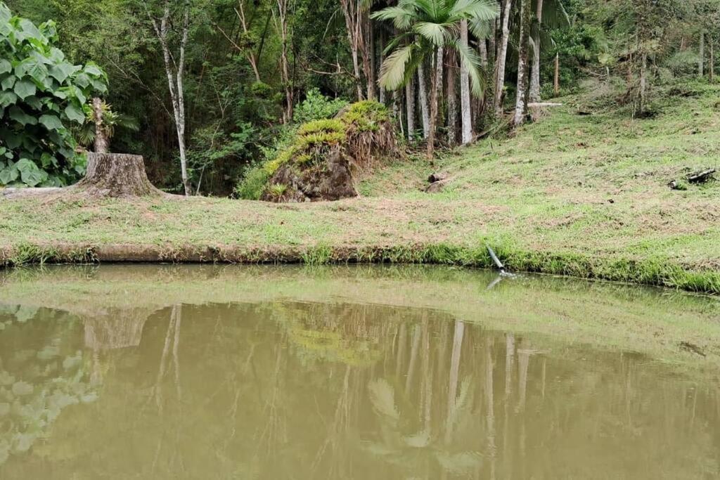 Sitio Som Das Aguas Benedito Novo Екстер'єр фото