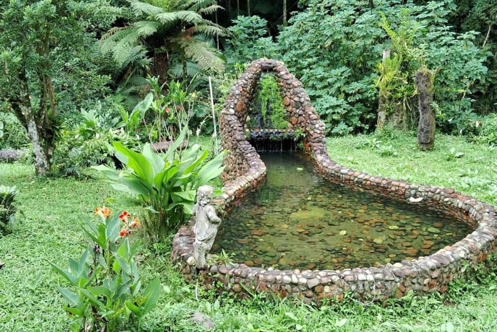 Sitio Som Das Aguas Benedito Novo Екстер'єр фото