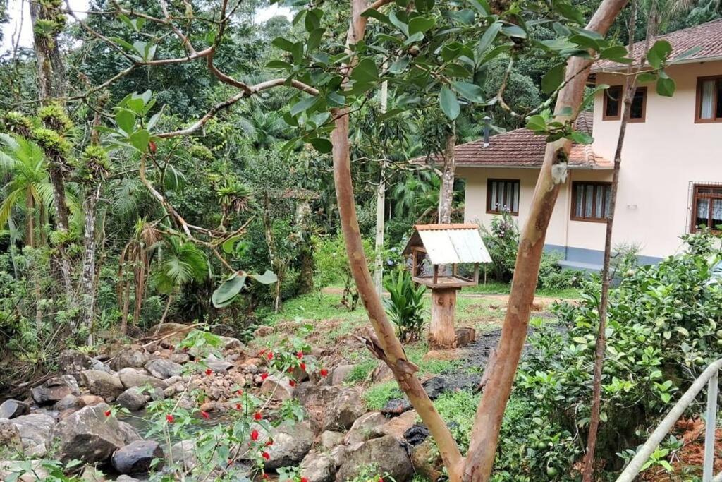 Sitio Som Das Aguas Benedito Novo Екстер'єр фото