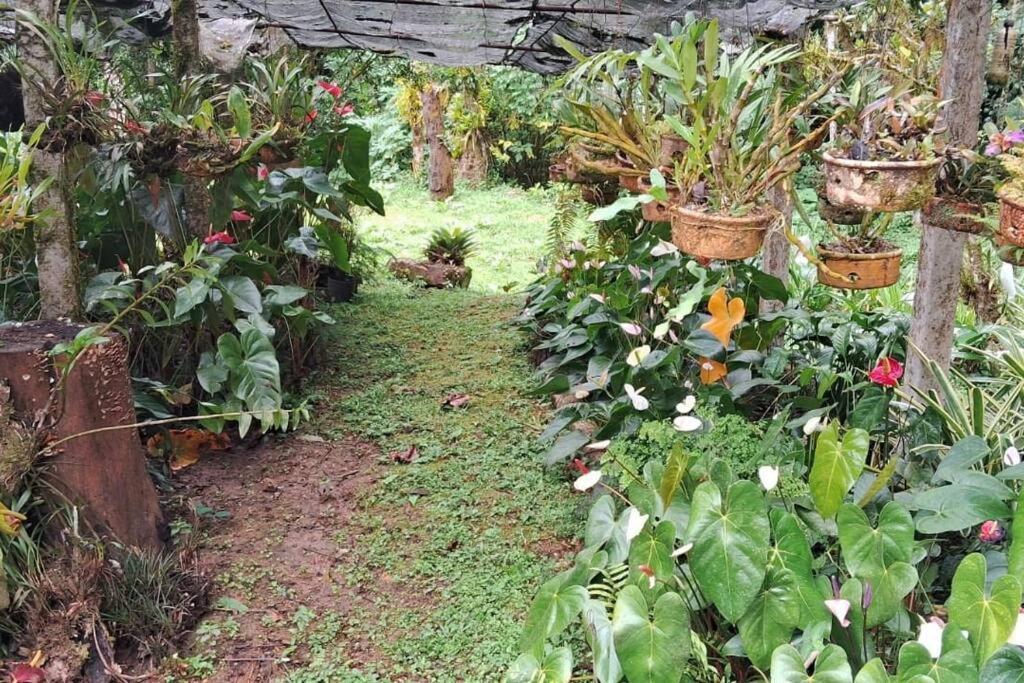 Sitio Som Das Aguas Benedito Novo Екстер'єр фото