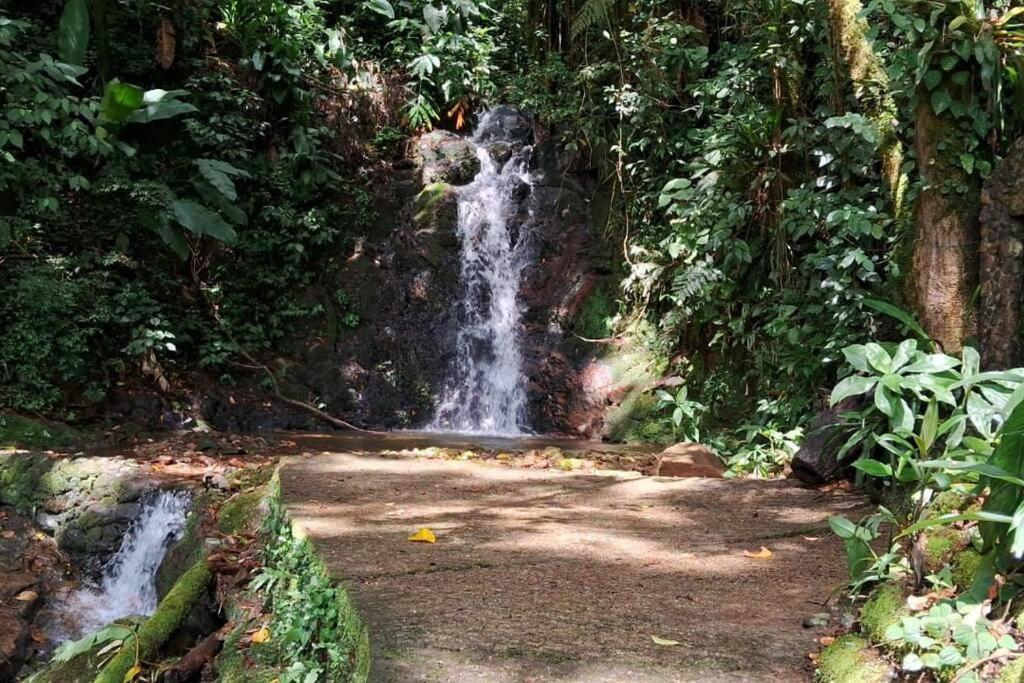 Sitio Som Das Aguas Benedito Novo Екстер'єр фото