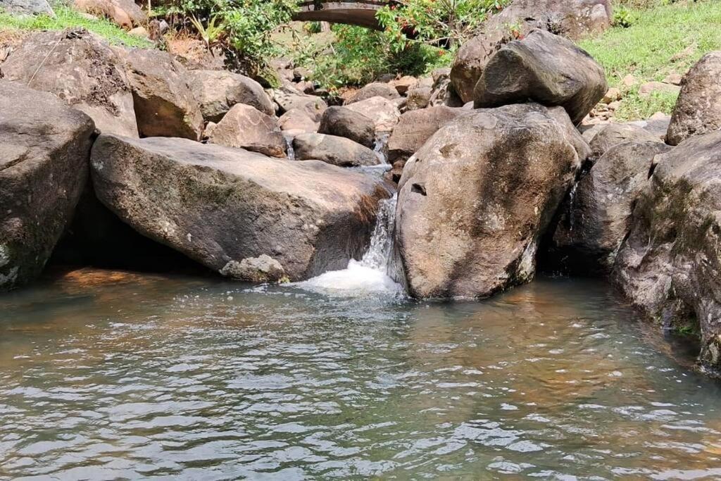 Sitio Som Das Aguas Benedito Novo Екстер'єр фото