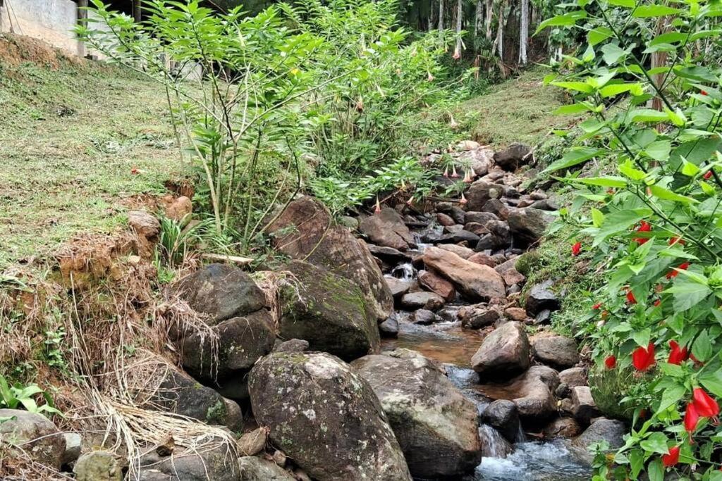 Sitio Som Das Aguas Benedito Novo Екстер'єр фото