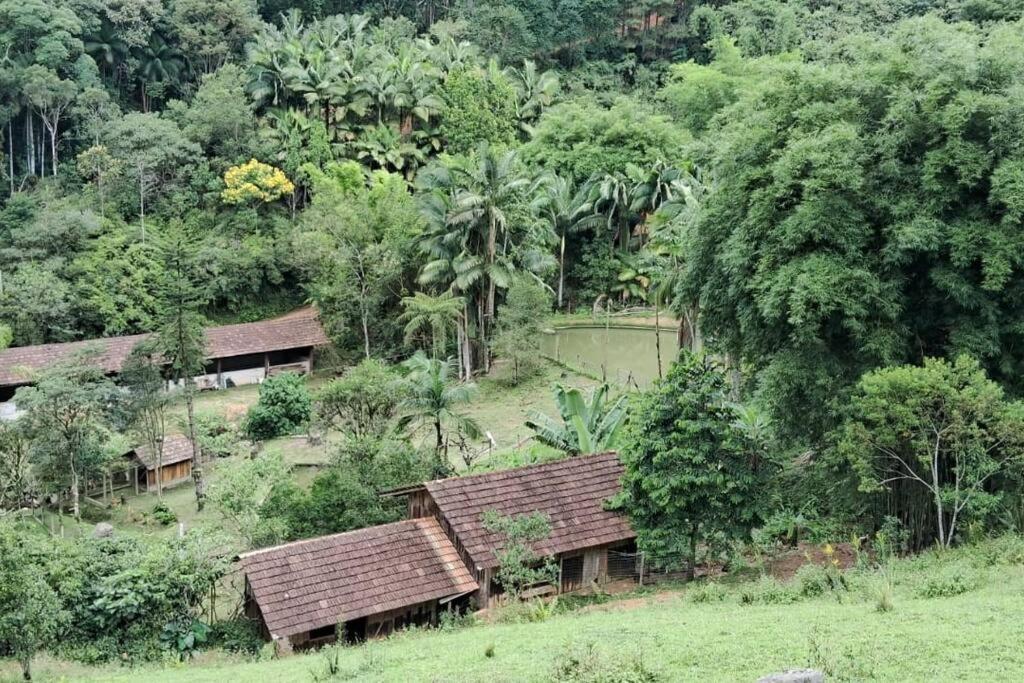 Sitio Som Das Aguas Benedito Novo Екстер'єр фото