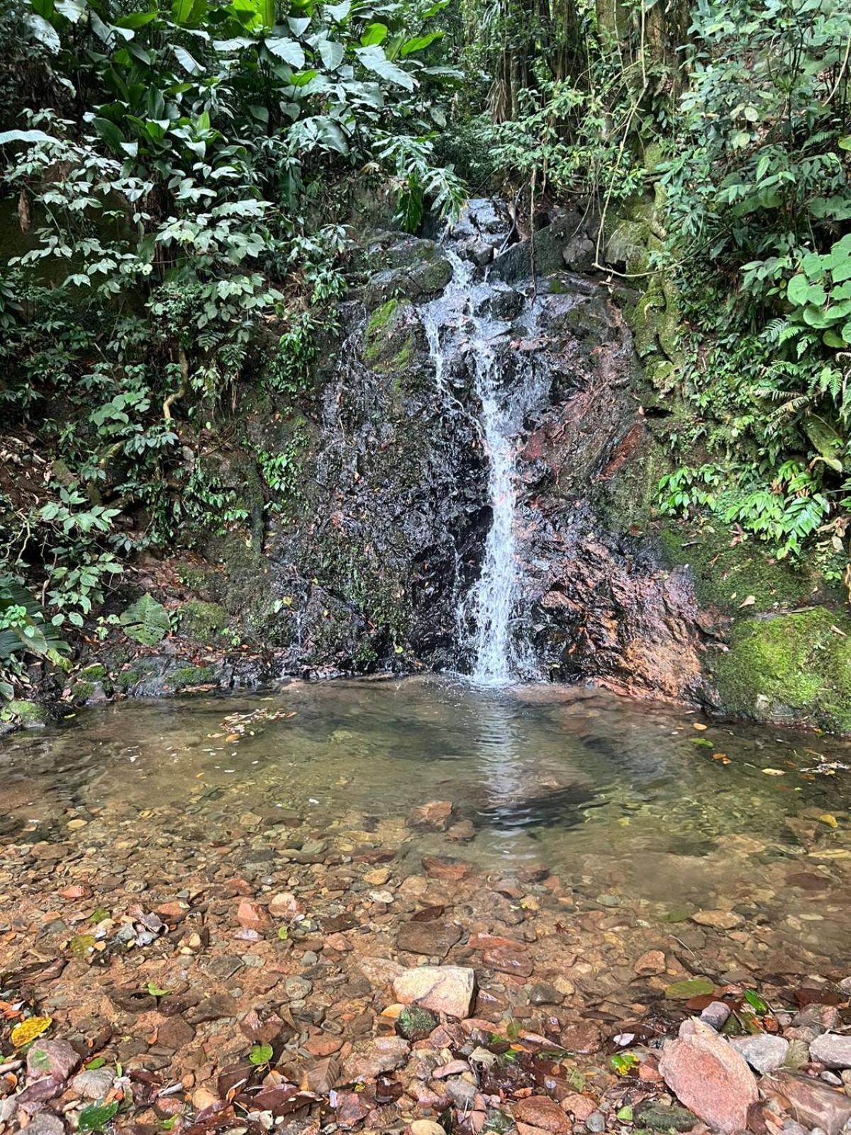 Sitio Som Das Aguas Benedito Novo Екстер'єр фото