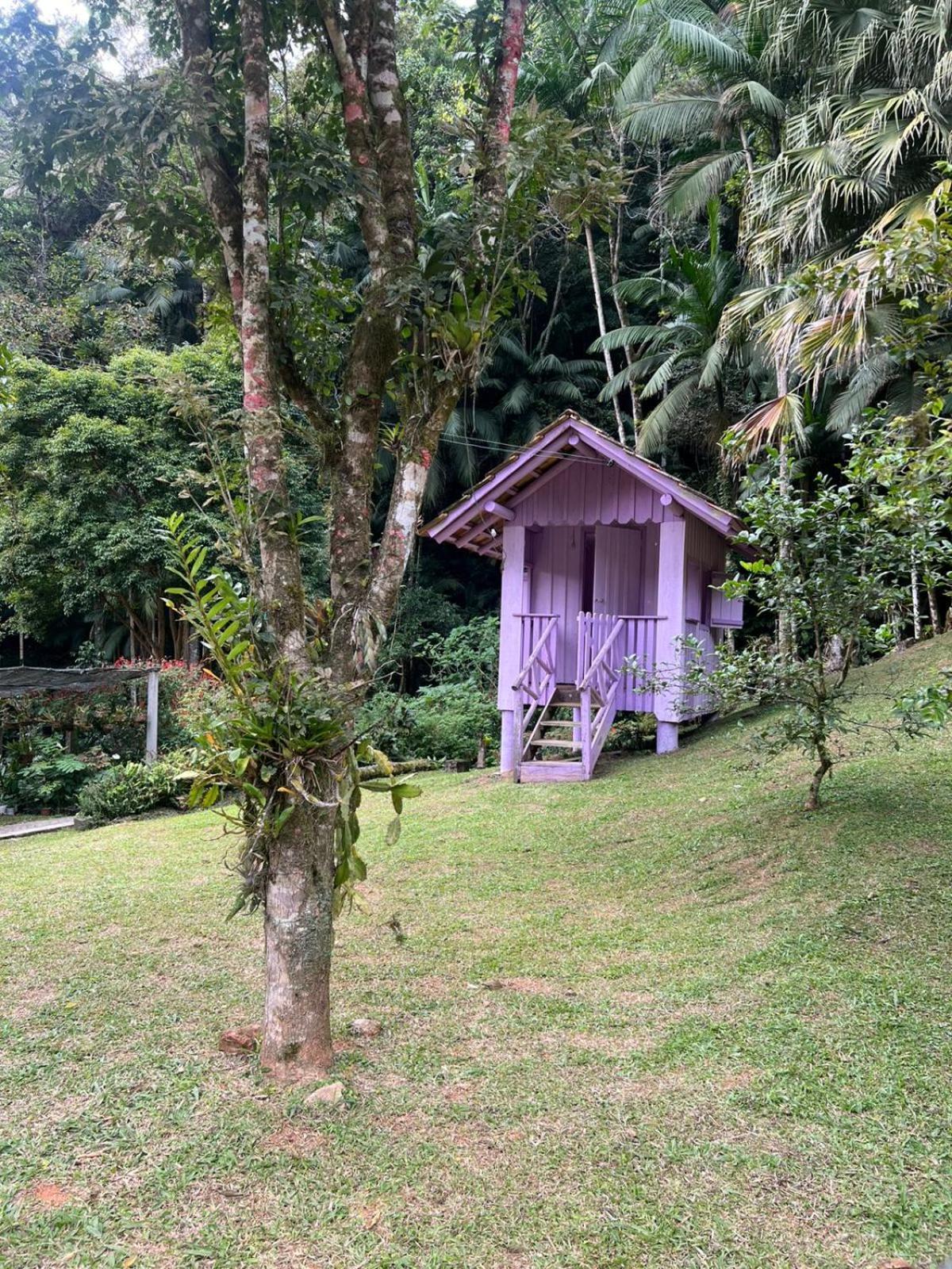 Sitio Som Das Aguas Benedito Novo Екстер'єр фото
