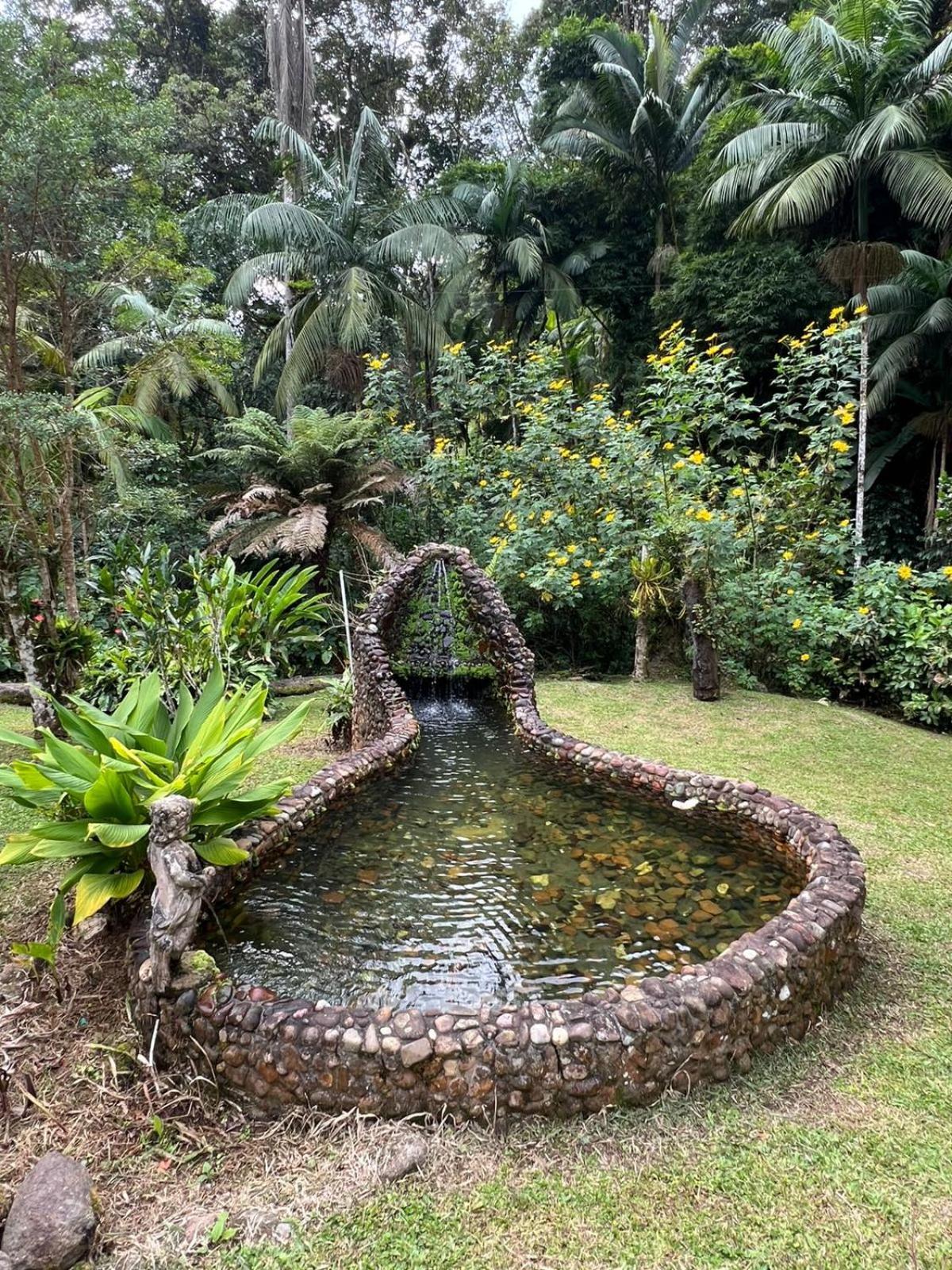 Sitio Som Das Aguas Benedito Novo Екстер'єр фото