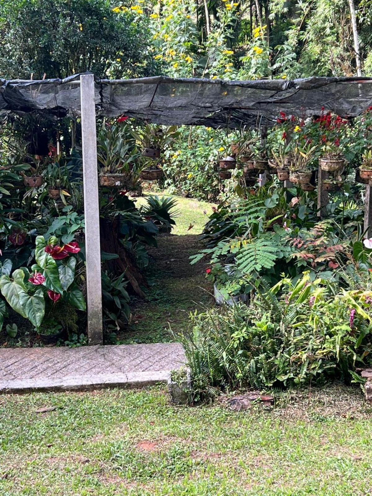 Sitio Som Das Aguas Benedito Novo Екстер'єр фото